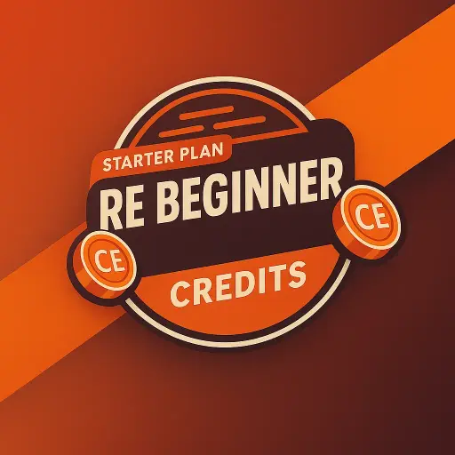 RE Beginner